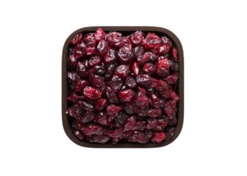Cranberries and Digestive Health: Supporting the Stomach and Gut from Within