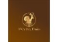 Where Tradition Meets Premium Quality: DNA Dry Fruits Redefines Everyday Luxury and Corporate Gifting