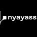NyayAssist AI: Building Trust-Centric Legal Intelligence for Indian Legal Professionals