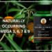 GreenOpia Sea Buckthorn Oil Capsules: The Natural Path to Inner Wellness and Radiant Health