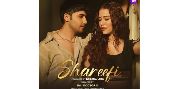 Vibe Entertainment Unveils Its First Single Musical Release of 2026, “Shareefi”