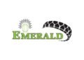 Emerald Tyre – An Indian Tyre Manufacturer Plans To Acquire 65% Stake In A South African Tyre Company To Expand Its Volumes In US Market