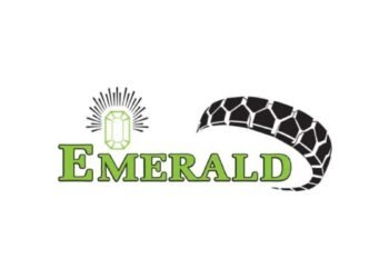 Emerald Tyre – An Indian Tyre Manufacturer Plans To Acquire 65% Stake In A South African Tyre Company To Expand Its Volumes In US Market