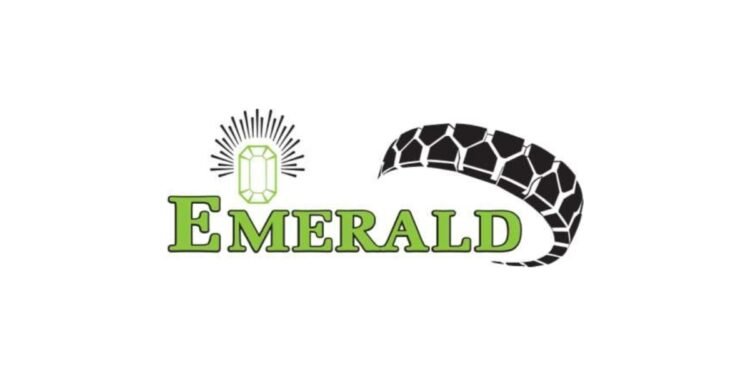 Emerald Tyre – An Indian Tyre Manufacturer Plans To Acquire 65% Stake In A South African Tyre Company To Expand Its Volumes In US Market