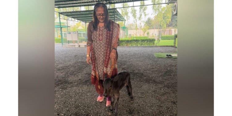 Gujarat’s DHUNN Charitable Trust Announces Historic Miniature Breeding Triumph: 20-Inch Calf ‘HARINI’ Born To Registered Indigenous Parents Petlad/Dharamraj, Gujarat