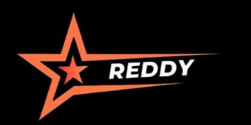 Building Brands Through Insight and Innovation: An Exclusive Interaction with the Team Behind Reddy Marketing Agency