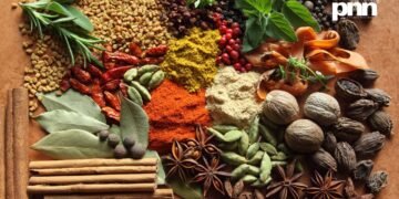 The Quest for Pepper: A Brief History of Modern Spices