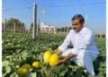 Mekala Shiva Shankar Reddy: The Farmer Innovator Transforming Drought-Hit Anantapur into a Hub of Profitable Agriculture