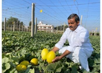 Mekala Shiva Shankar Reddy: The Farmer Innovator Transforming Drought-Hit Anantapur into a Hub of Profitable Agriculture