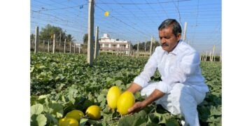 Mekala Shiva Shankar Reddy: The Farmer Innovator Transforming Drought-Hit Anantapur into a Hub of Profitable Agriculture