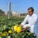 Mekala Shiva Shankar Reddy: The Farmer Innovator Transforming Drought-Hit Anantapur into a Hub of Profitable Agriculture