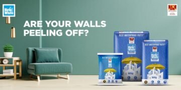 Ever Wonder Why Fresh Paint Starts Peeling, Your Walls Might Be Fine but Are They Built to Last