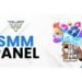 How Do SMM Panels Help Startups Gain Credibility and Reach Early Audiences?