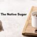 The Native Sugar: India’s 1st Clean-Labelled Natural Sugar Brand Transforming Sugar Consumption