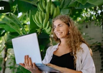 Email Funnel: How One Visitor Turns into Ongoing Revenue