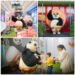 Kung Fu Panda Comes Alive at Palladium Ahmedabad with an Action-Packed Holiday Experience