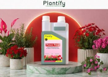 Top Benefits of Using Organic Liquid Potting Mixture for Home Gardening