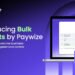 Introducing Bulk Payouts by Paywize – Automate High-Volume Business Payments with Speed and Control