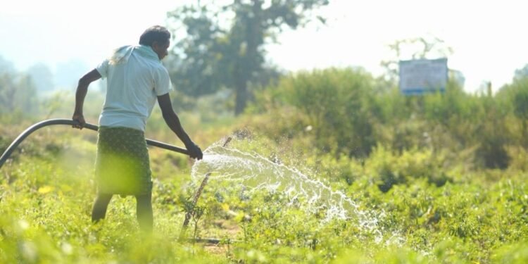 Vedanta Aluminium Enables Irrigation Across 800+ Acres in 41 Villages of Kalahandi