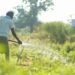 Vedanta Aluminium Enables Irrigation Across 800+ Acres in 41 Villages of Kalahandi