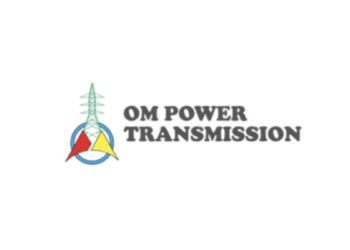 Om Power Transmission Limited raised Rs 4,501.47 lakhs via Anchor Investors prior to IPO launch on the Main Board