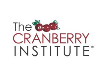 The Power of Cranberries: A Natural Boost for Gut Microbiome Health