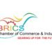 BRICS Chamber of Commerce & Industry Announces Unopposed Election of New Governing Body for 2026–2029 Term