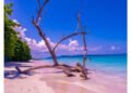 Andaman Travel Care Recognized for Customized Andaman Tour Packages and Honeymoon Travel Experiences