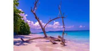 Andaman Travel Care Recognized for Customized Andaman Tour Packages and Honeymoon Travel Experiences