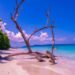 Andaman Travel Care Recognized for Customized Andaman Tour Packages and Honeymoon Travel Experiences
