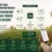 Soil Data. Crop Stage. Disease Risk. Weather Forecast. Inside the Proprietary ML Stack That Powers Every Farmneed Farm Advisory