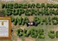 The Cube Club Creates World Record with 10,000 Plant Green Installation, Celebrates 1 Lakh Tree Plantation Milestone with Jackie Shroff