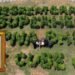 The Cube Club Creates World Record with 10,000 Plant Green Installation, Celebrates 1 Lakh Tree Plantation Milestone with Jackie Shroff