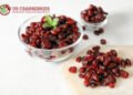 Gut Health Benefits of Cranberries: What You Need to Know