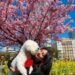 Healing Within: How One Woman Turned Her Deepest Struggle into Her Greatest Purpose