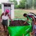 Vedanta Aluminium Scales Organic Farming Interventions in Kalahandi, Benefiting 170 Households