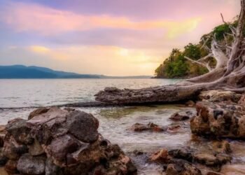 Andaman Packages from Vizag: Your Complete Island Getaway Guide