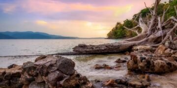 Andaman Packages from Vizag: Your Complete Island Getaway Guide