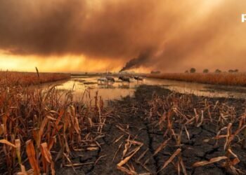 Climate Change and Its Growing Toll on Agriculture and Food Supply
