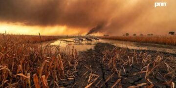 Climate Change and Its Growing Toll on Agriculture and Food Supply