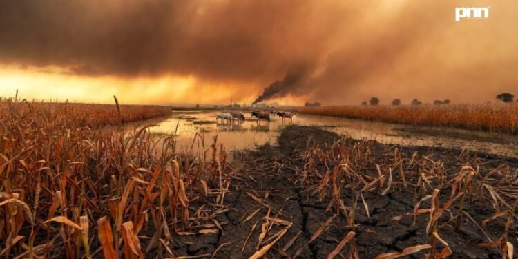 Climate Change and Its Growing Toll on Agriculture and Food Supply