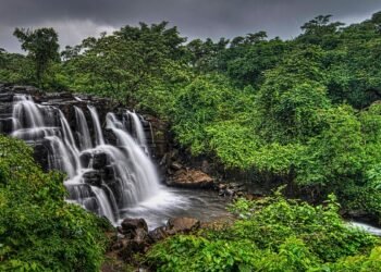 Your Office Desk Might Be The Real Monsoon Hotspot: Why Workplace Wellness Matters More Than Ever