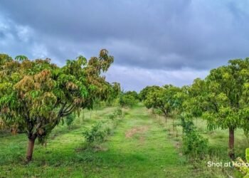India’s Next Conservation Movement Is Already Taking Shape