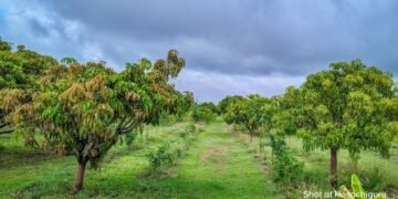 India’s Next Conservation Movement Is Already Taking Shape