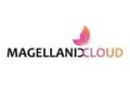 Energy PSU Giant GAIL Awards Landmark Contract to Magellanic Cloud Limited Subsidiary, Opening New Growth Vertical in Oil & Gas Sector
