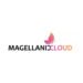 Magellanic Cloud’s Provigil Surveillance Wins ₹7.92 Crore LOA from Western Railway, Ratlam Division, for Level Crossing Gate Surveillance and Telecom