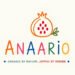 Dressing a Baby Is a Competitive Sport, and Anaario Is the Cheat Code