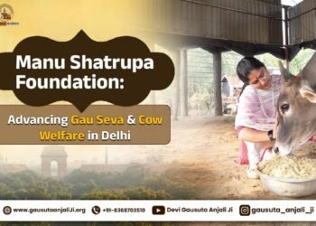 Manu Shatarupa Foundation: Engaged in gau seva, cow rescue, and animal welfare in Delhi