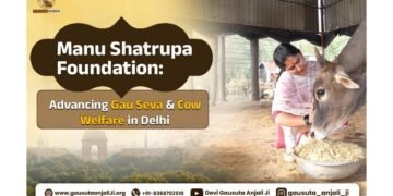 Manu Shatarupa Foundation: Engaged in gau seva, cow rescue, and animal welfare in Delhi