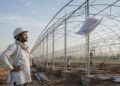 NHB Revises Protected-Cultivation Assistance: What Farmers and Ongoing Projects Need to Know